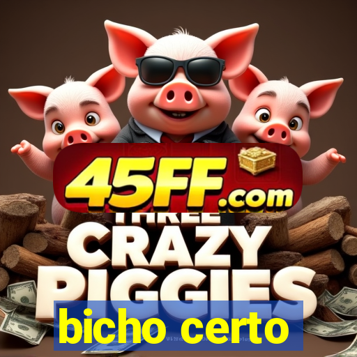 bicho certo